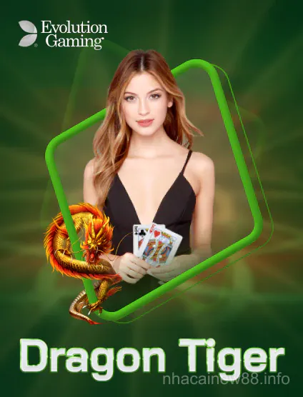 Evolution Dragon Tiger - niw88