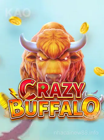 Crazy Buffalo - niw88